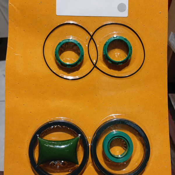 CONJUNTO PECAS REPARO CIL. P1F S063